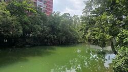 Blk 507 Elias Parks Estate (Pasir Ris), HDB Executive #602962571